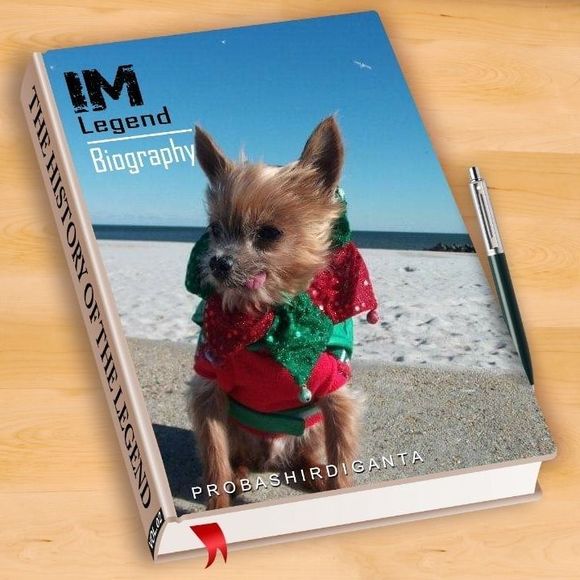 Meet your Posher, Jamie - Picture 1 of 1